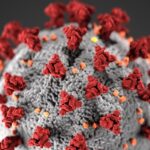 Covid-19 virus