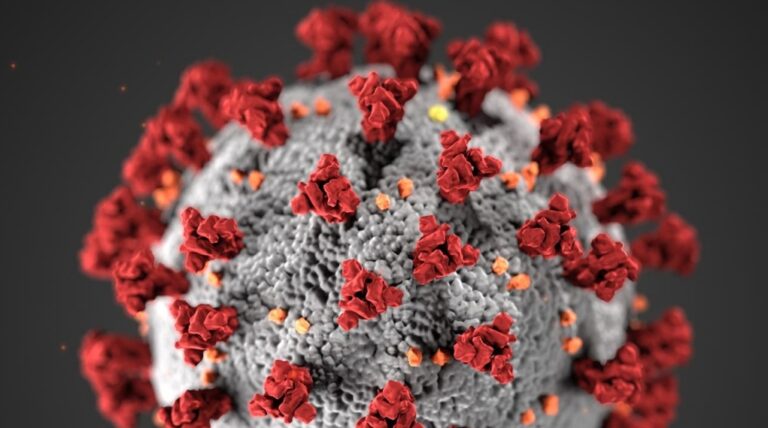 Covid-19 virus